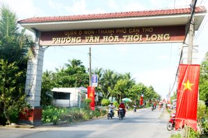 Dịch Thuật Từ Tiếng Anh Sang Tiếng Việt Tại Phường Thới Long, Thành Phố Cần Thơ