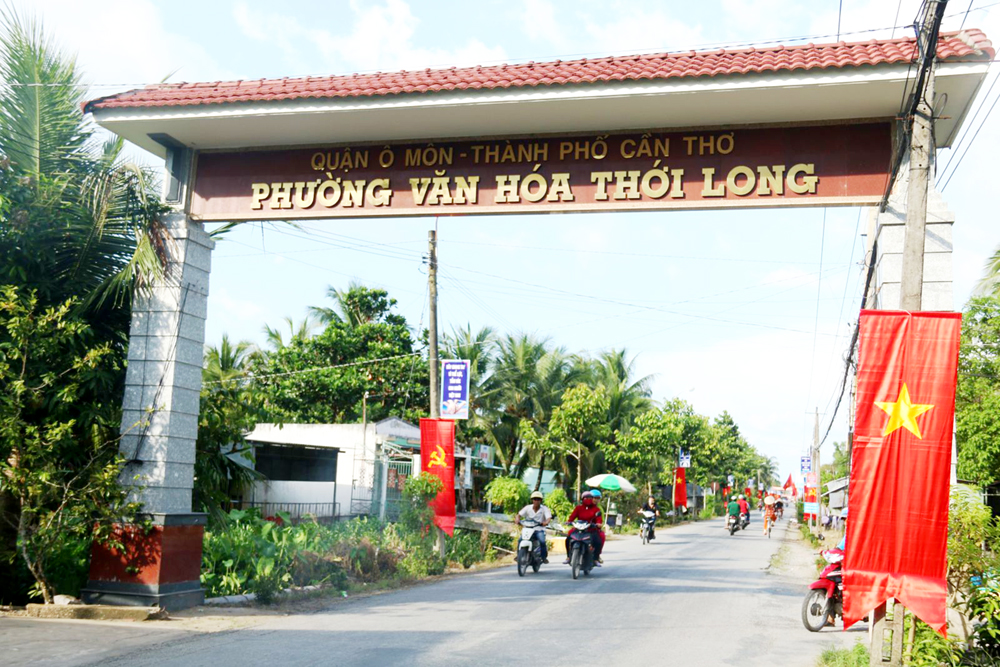 Dịch Thuật Từ Tiếng Anh Sang Tiếng Việt Tại Phường Thới Long, Thành Phố Cần Thơ